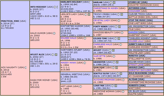 Derby pedigrees: Can Practical Move handle another furlong?